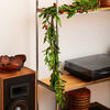 Vickerman Artificial Olive Series - view 2 of 5