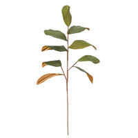 Green Magnolia Leaf Collection