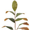 Vickerman Green Artificial Magnolia Leaf Collection - view 5 of 6