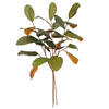 Vickerman Green Artificial Magnolia Leaf Collection - view 4 of 6