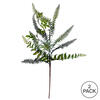 20" Green Fern Pick 2/pk - view 3 of 3