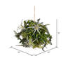 10" Green Fern Ball - view 2 of 2