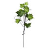 40" Green Plantanus Leaf Spray - view 1 of 2