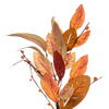 Vickerman Cream Red Artificial Leaf Wreath - view 2 of 5