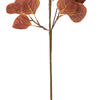 Vickerman 32" Artificial Silver Dollar Eucalyptus Leaf Spray 3/Pk - view 4 of 5