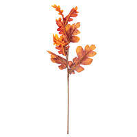 Orange Oak Leaf Collection