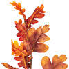 Vickerman Orange Autumn Artificial Oak Leaf Collection - view 2 of 4