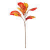 Vickerman Orange Fiddle Leaf Spray. - view 1 of 4