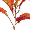 Vickerman Orange Fiddle Leaf Spray. - view 3 of 4