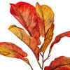 Vickerman Orange Fiddle Leaf Spray. - view 2 of 4