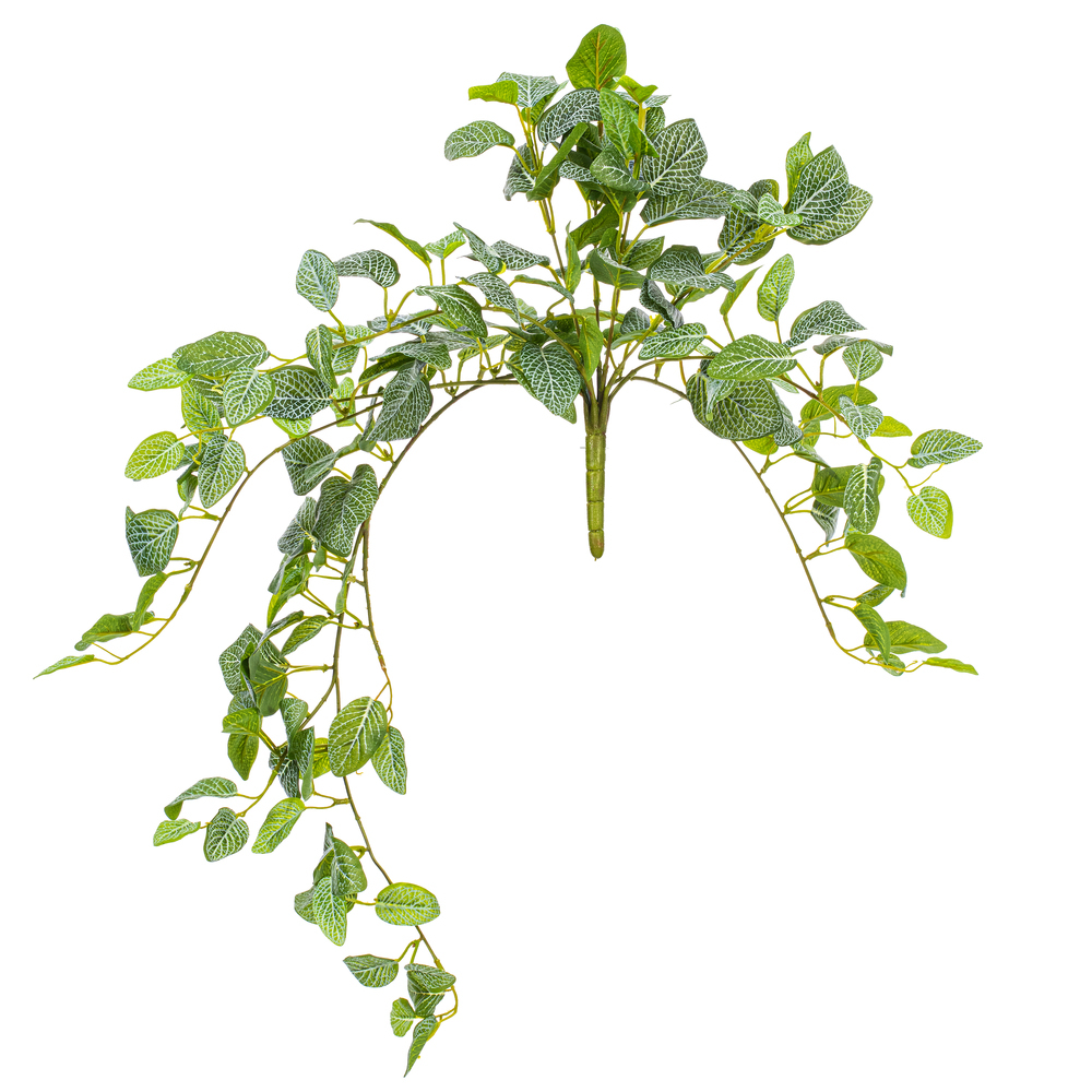 Vickerman Green Artificial Fittonia Bush