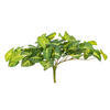 Vickerman Green Artificial Syngonium Bush - view 1 of 5