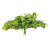 Vickerman Green Artificial Syngonium Bush - view 5 of 5