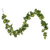 72" Syngonium Garland Fresh Touch UV - view 1 of 4