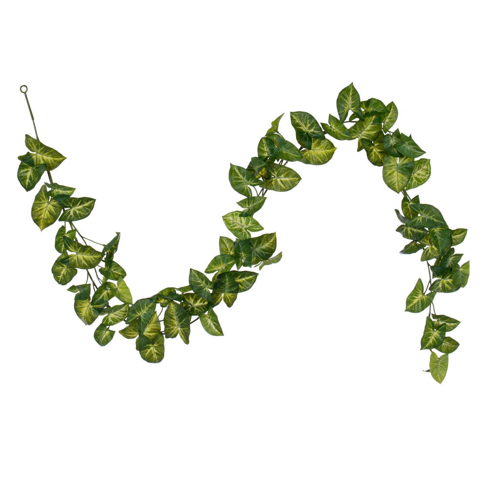 72" Syngonium Garland Fresh Touch UV