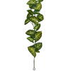 72" Syngonium Garland Fresh Touch UV - view 3 of 4