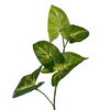 72" Syngonium Garland Fresh Touch UV - view 2 of 4