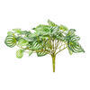Vickerman Artificial Watermelon Peperomia Bush - view 1 of 5