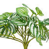 Vickerman Artificial Watermelon Peperomia Bush - view 4 of 5