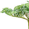 Vickerman Artificial Watermelon Peperomia Bush - view 3 of 5