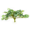 Vickerman Artificial Watermelon Peperomia Bush - view 5 of 5