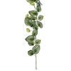 72" Watermelon Peperomia Garland FT UV - view 3 of 4
