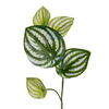 72" Watermelon Peperomia Garland FT UV - view 2 of 4