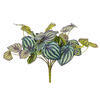 Vickerman Artificial Peperomia Piccolo Bush - view 1 of 5