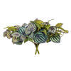 Vickerman Artificial Peperomia Piccolo Bush - view 5 of 5
