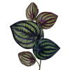 72" Peperomia Piccolo Garland FT UV - view 2 of 4