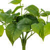 Vickerman Green Artificial Pothos Bush - view 4 of 5
