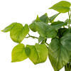 Vickerman Green Artificial Pothos Bush - view 3 of 5