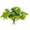 Vickerman Green Artificial Pothos Bush - view 5 of 5