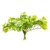 Vickerman Artificial Manjula Pothos Bush - view 5 of 5