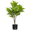 Vickerman Artificial Alocasia Zebrina Potted - view 1 of 5