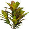 Vickerman Artificial Croton Potted Plant - view 2 of 4