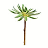 13" Green Succulent Spray 2/Pk - view 1 of 4