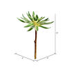 13" Green Succulent Spray 2/Pk - view 3 of 4