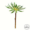 13" Green Succulent Spray 2/Pk - view 4 of 4