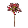 16" Red Succulent Stem - view 1 of 4