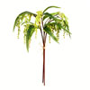 24" Green Plant Bundle - view 1 of 3