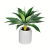 18" Potted Agave - view 1 of 3