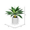 18" Potted Agave - view 3 of 3