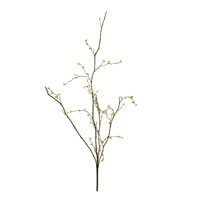 Branches