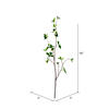 Vickerman Artificial Green Baby Leaf Spray,  2/pack - view 2 of 3
