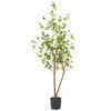 Vickerman Artificial Potted Baby Leaf Tree - view 1 of 5