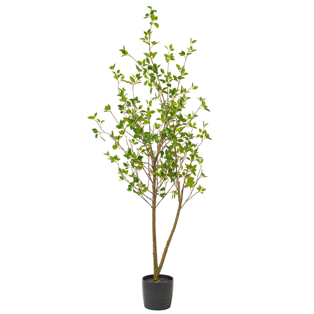 Vickerman Artificial Potted Baby Leaf Tree