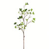 43" Green Milan Leaf Pk 2/Pk - view 1 of 3