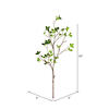 43" Green Milan Leaf Pk 2/Pk - view 2 of 3