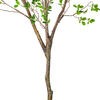 Vickerman Artificial Potted Milan Leaf Tree - view 5 of 6